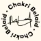 chakribelaid.com