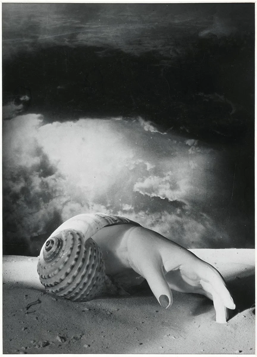 La main coquillage, Dora Maar